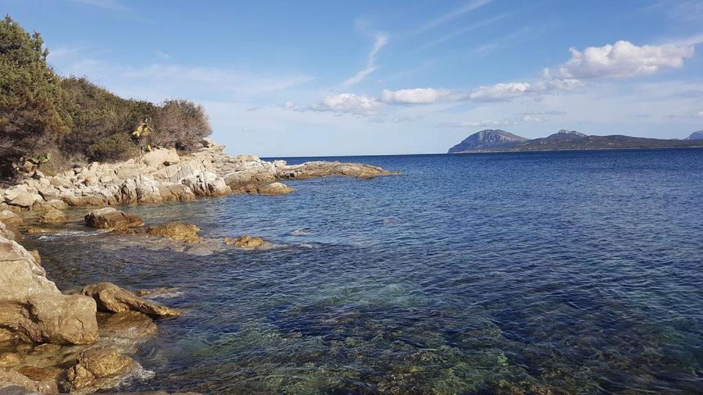 Appartamento A Porto Rotondo - Villaggio Punta Volpe - Iun S5393 Kültér fotó