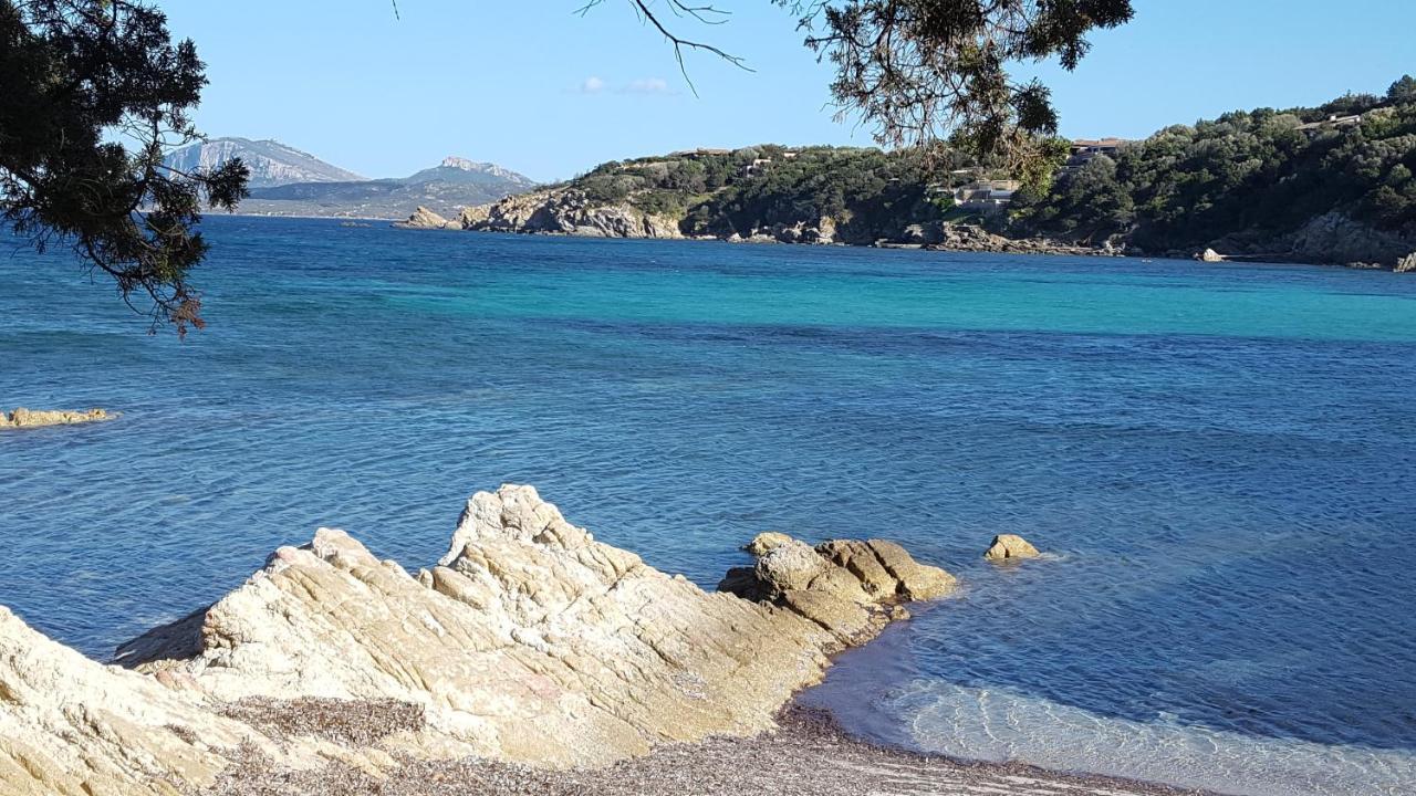 Appartamento A Porto Rotondo - Villaggio Punta Volpe - Iun S5393 Kültér fotó